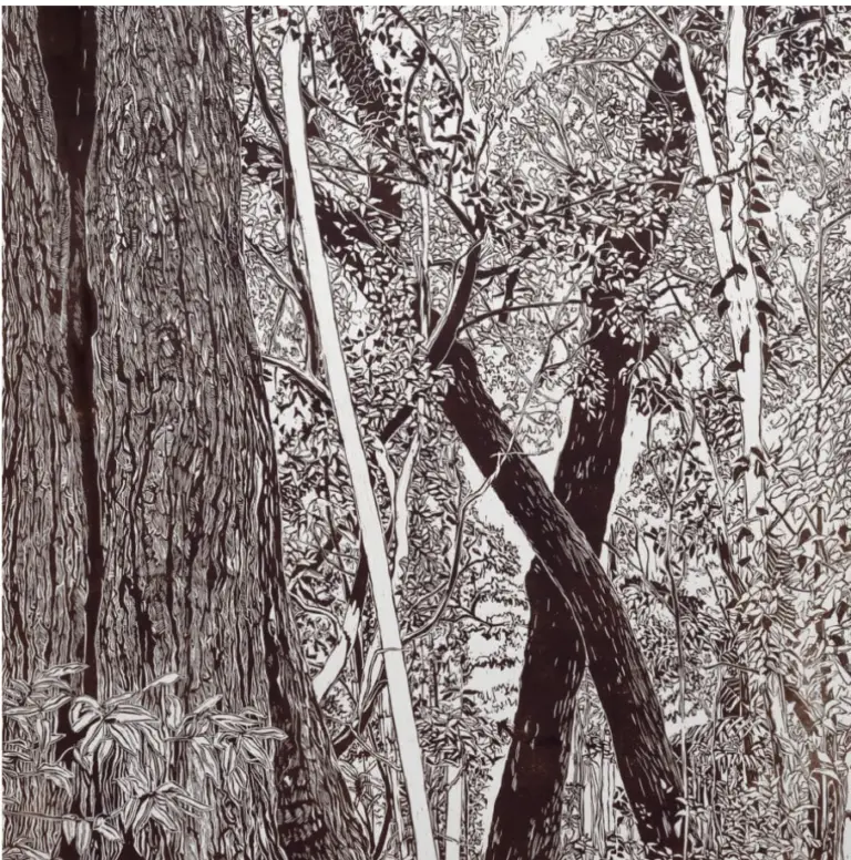 forest print, black and white, forest detail, leaves, tree trunks